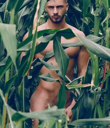 Models hot jock men gay porn boys 62a39fb44aff8.jpg