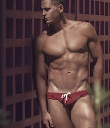 Models Sexy Gay Porn Tube Twinks Jock 62a3b630cf4d3.jpg