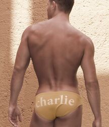 Models Sexy Gay Porn Tube Twinks Jock 62a3b63ea7351.jpg