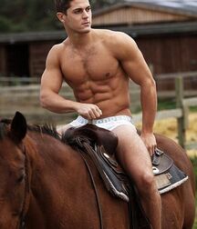 Models Hot Bodies Twink Gay Porn Guys Cocks 62a3b744b2cab.jpg