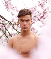 Models Hot Bodies Twink Gay Porn Guys Cocks 62a3b800e7643.jpg