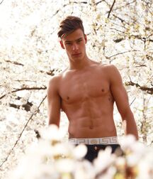 Models Hot Bodies Twink Gay Porn Guys Cocks 62a3b8183445e.jpg