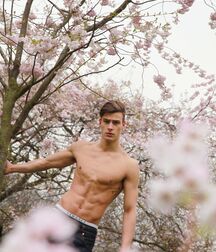Models Hot Bodies Twink Gay Porn Guys Cocks 62a3b82b284f3.jpg