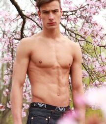 Models Hot Bodies Twink Gay Porn Guys Cocks 62a3b83acde16.jpg