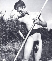 Collection Vintage Gay Twinks Porn Videos 62b890c17fb79.jpg