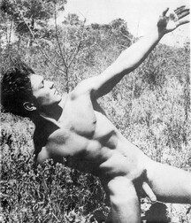 Collection Vintage Gay Twinks Porn Videos 62b890d9d43f1.jpg