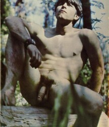 Collection Vintage Gay Twinks Porn Videos 62b890e13807c.jpg