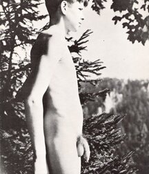 Vintage twink nudes gay porn 613cd33d7f162.jpeg