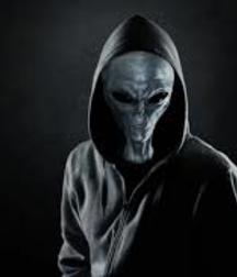 avatar 5deb60b502658.jpg