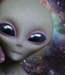 avatar 5deb60b8f297f.jpg