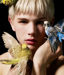 Photo-Art Boys 5e7a7fea3edf7.jpg