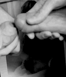 Boys gif-parade 5e7bcd0284068.gif