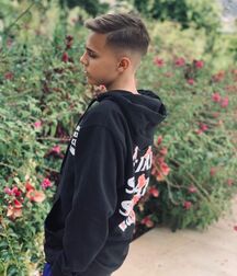 Skyler teens 98 degrees  608e02f20c9ae.jpg