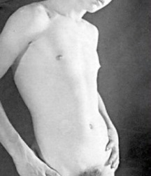 Black and White and Big Boys Porn 5f06a6ea142fc.jpg