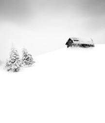 Male in Winter 5e04bb491e9a1.jpg