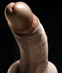 Sexy Boys-10  5e13f63e6d99c.jpg