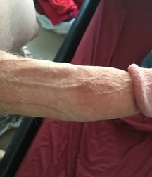 Sexy Boys - 145 5ec3ce226775e.jpg