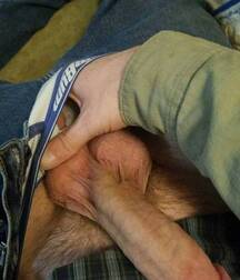 Sexy Boys - 204 5f15914dc2566.jpg