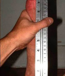 Sexy Boys - 294 5f942f384c900.jpg