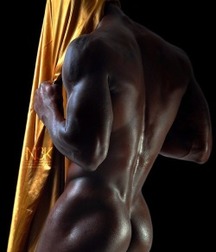 Sexy Boys - 350 5ff316451ebb6.jpg