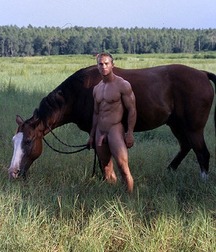 Sexy Boys - 371 601feb3a61533.jpg