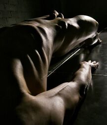 Sexy Boys - 523 6123a47d3d6b5.jpg