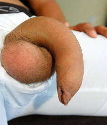 Sexy Boys - 534 6133e7218f904.jpg
