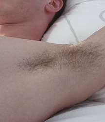 Hot Pits gay tube young twinks porn 25  5f3d0800004d2.jpg