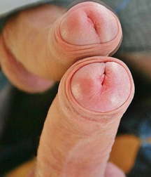 Cock on Cock 5e1667566317a.jpg