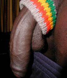Big black dicks