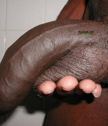 Big black dicks 5e33811e6c043.jpg