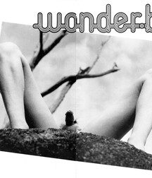 Wonderboy No. 104 5ecc8d7884292.jpg