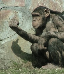 Giving The Finger - Gay Boys Porn 5e51a071ca5cc.jpg