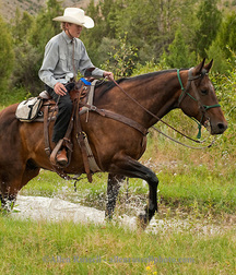 Man and Beast Boys Porn 5f123f8941384.jpg