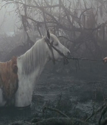 Man and Beast Boys Porn 5f123f9a3a94e.jpg