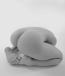 art for the apes 5e4b69ff0c679.jpg