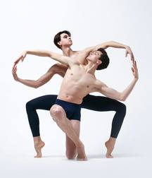 art for the apes 5e4b6a0cb3df3.jpg