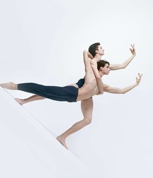 art for the apes 5e4b6a103a4ba.jpg