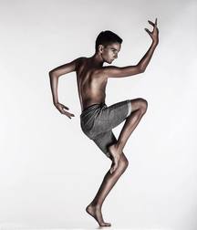 art for the apes 5e4b6a120aae6.jpg