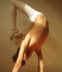 art for the apes 5e4b6a3153b49.png