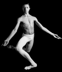 art for the apes 5e4b6a4c3432c.jpg