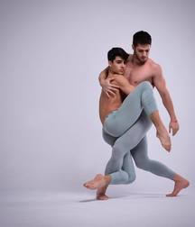 art for the apes 5e4b6a4f22745.jpg