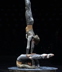 art for the apes 5e4b6a647bdf5.jpg