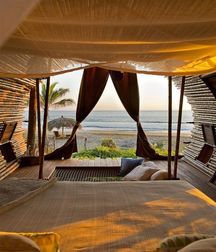 art for the apes 5e4b6aaf9ac06.jpg