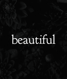 art for the apes 5e4b6ab1aa663.png