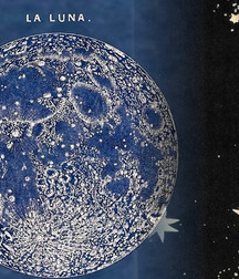 art for the apes 5e4b6ab37c269.jpg