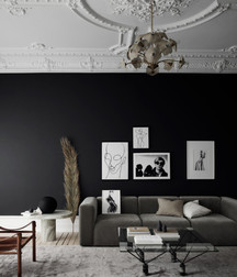 art for the apes 5e4b6abe92fd6.jpg