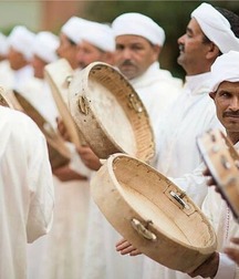 art for the apes 5e4b6ac3e1e4f.jpg