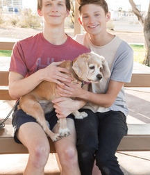 Twinks Gay Tube Teens Porn