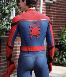 Tom Holland's Spiderman  6122894b3cd2a.jpg